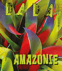 Revue Dada, no 291 : Amazonie